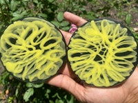 a pair of yellow and black coasters in a flower garden